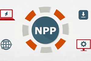 NPP overlay services